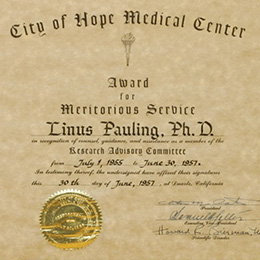 title_69debbbc924a8204535251776204732